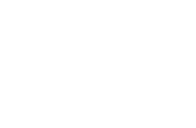 The Palace at home logo